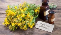 St.John's wort or Hypericum perforatum and medicine bottles on wooden background