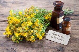 St.John's wort or Hypericum perforatum and medicine bottles on wooden background